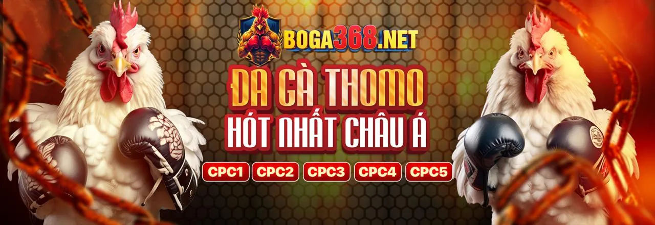 Biểu đồ cơ cấu hoa hồng đối tác 888b